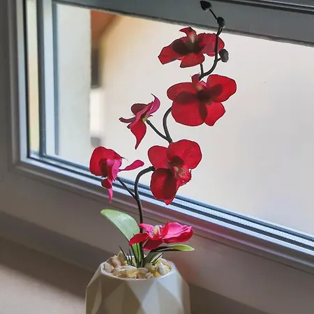 Naaj Apartment *